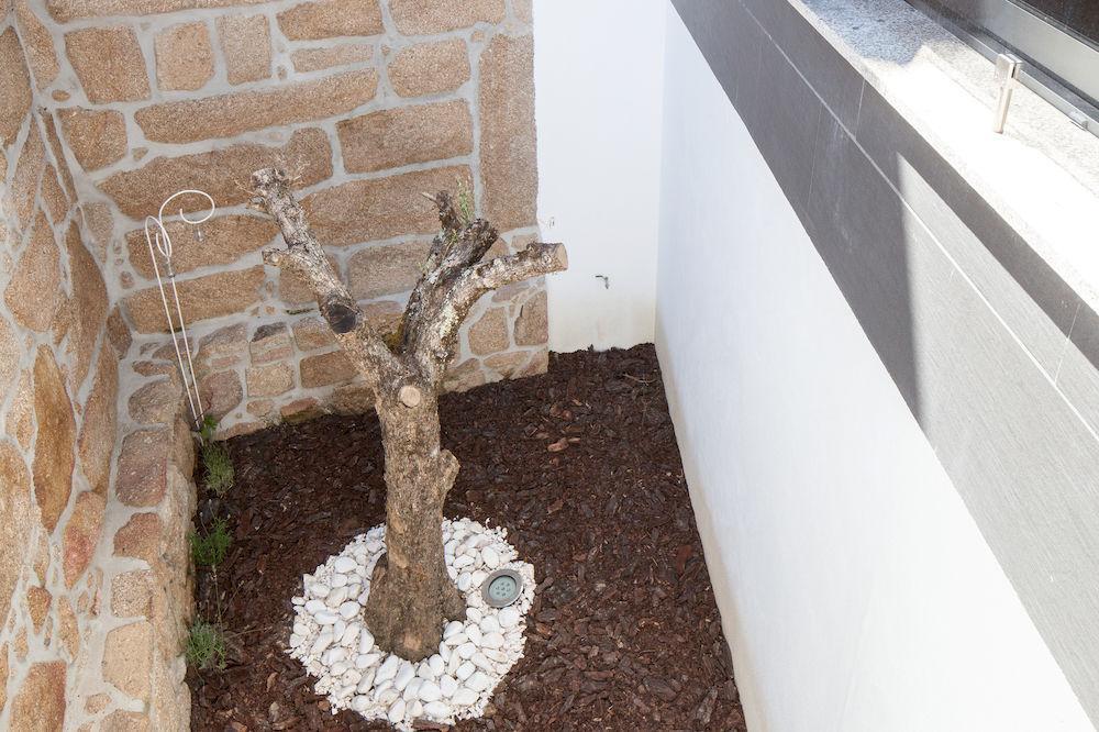Casas Do Patio Country Houses & Nature Caldas da Felgueira Extérieur photo