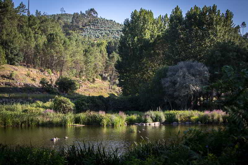 Casas Do Patio Country Houses & Nature Caldas da Felgueira Extérieur photo