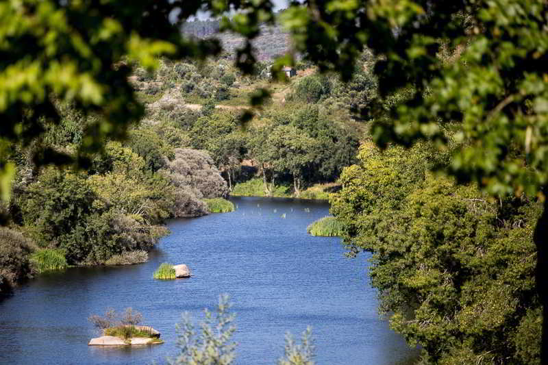Casas Do Patio Country Houses & Nature Caldas da Felgueira Extérieur photo